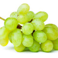 Green Grape